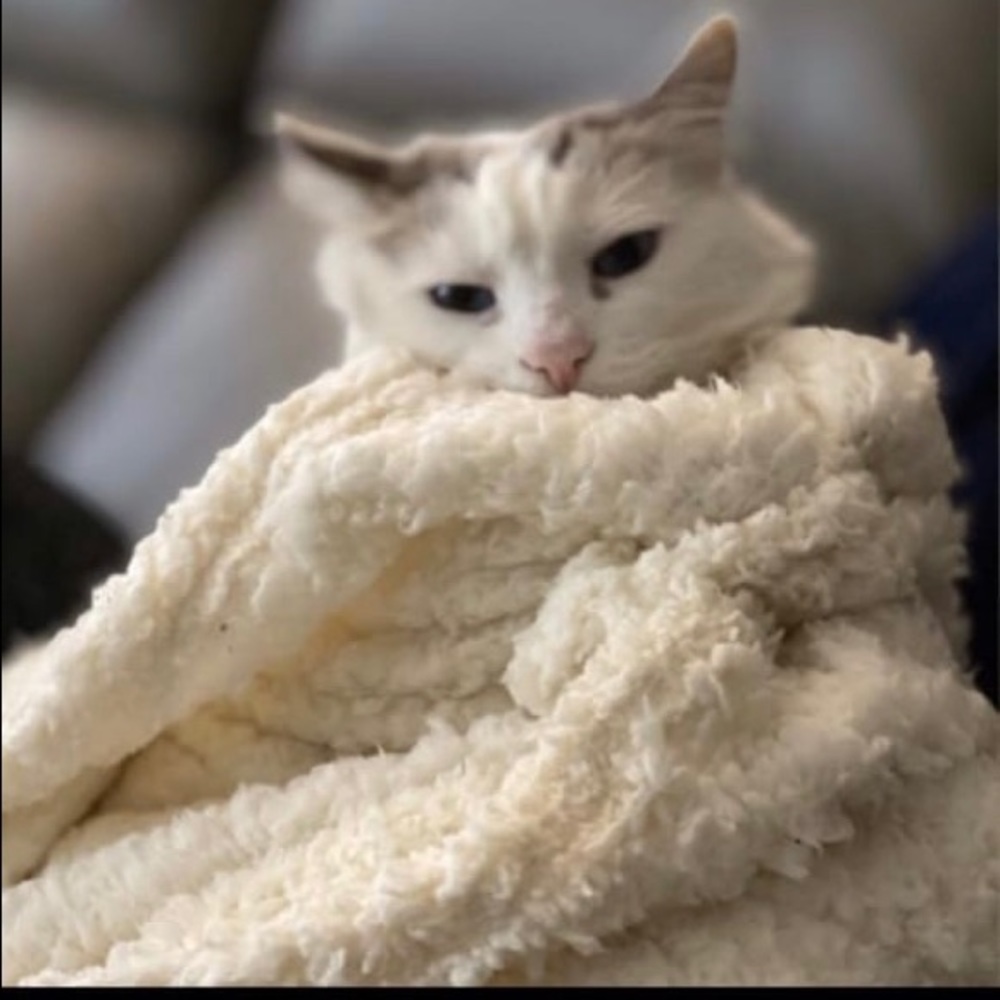 Meet your Posher, Pamela